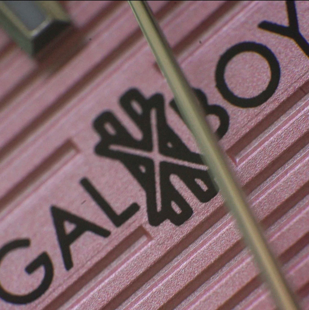 GXB 012 TYPE X - SILVER\ PINK